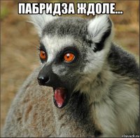 пабридза ждоле... 