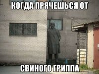 когда прячешься от свиного гриппа