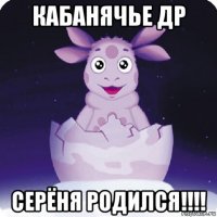 кабанячье др серёня родился!!!!