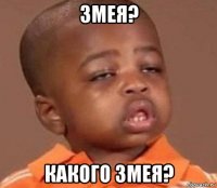 змея? какого змея?