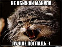 не обижай манула лучше погладь :)