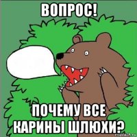 вопрос! почему все карины шлюхи?