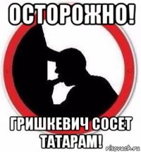 осторожно! гришкевич сосет татарам!