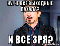 ну, че все выходные пахала? и все зря?