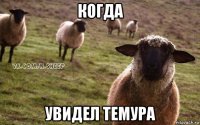 когда увидел темура