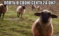 опять в свою секту 24-ок? 