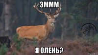 эммм я олень?