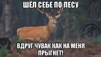 шёл себе по лесу вдруг чувак как на меня прыгнет!