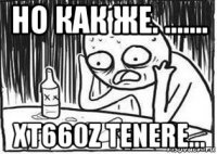 но как же. ....... xt660z tenere...