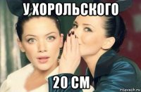 у хорольского 20 см