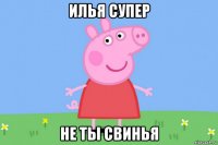 илья супер не ты свинья