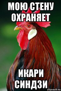 мою стену охраняет икари синдзи