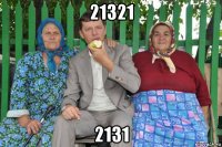 21321 2131