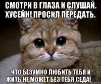 смотри в глаза и слушай. хусейн! просил передать. что безумно любить тебя и жить не может без тебя седа!❤