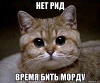 нет рид время бить морду