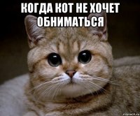 когда кот не хочет обниматься 