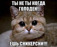 ты не ты когда голоден! ешь сникерсни!!!