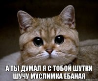  а ты думал я с тобой шутки шучу муслимка ебаная