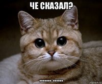 че сказал? ....... ......