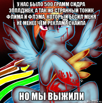 у нас было 500 грамм сидра эпплджек, а так же странный тоник флима и флэма, который бесил меня не менее чем реклама скайпа но мы выжили