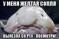 у меня желтая сопля вылезла со рта - посмотри!