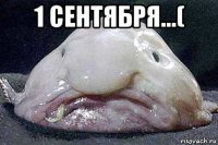 1 сентября...( 