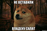 не оставили владеку салат