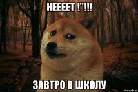 неееет !"!!! завтро в школу