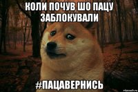 коли почув шо пацу заблокували #пацавернись