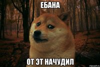 ебана от эт начудил