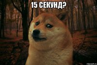 15 секунд? 