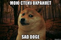 мою стену охраняет sad doge