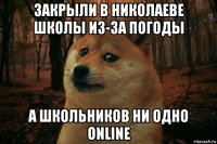 закрыли в николаеве школы из-за погоды а школьников ни одно online