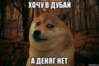 хочу в дубай а деняг нет