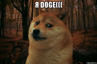 я doge((( 