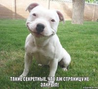 ТАКИЕ СЕКРЕТНЫЕ, ЧТО АЖ СТРАНИЦУ НЕ ЗАКРЫЛ!