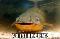  а я тут причем?