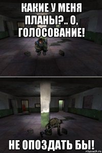 какие у меня планы?.. о, голосование! не опоздать бы!