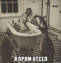  я прям отсел