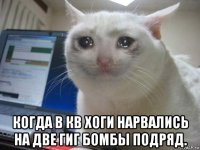  когда в кв хоги нарвались на две гиг бомбы подряд.