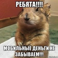 ребята!!!! мобильные деньги,не забываем!!!