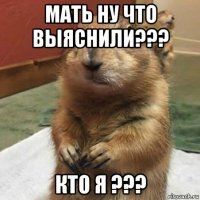 мать ну что выяснили??? кто я ???