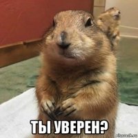  ты уверен?