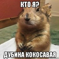 кто я? дубина кокосавая