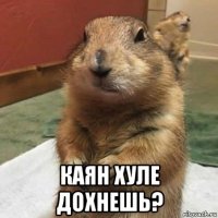  каян хуле дохнешь?