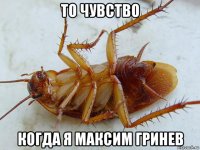 то чувство когда я максим гринев