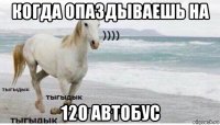 когда опаздываешь на 120 автобус