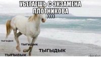 убегаешь с экзамена плотникова 