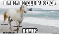 в моем сердце навсегда внмгк