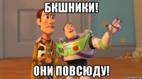бкшники! они повсюду!